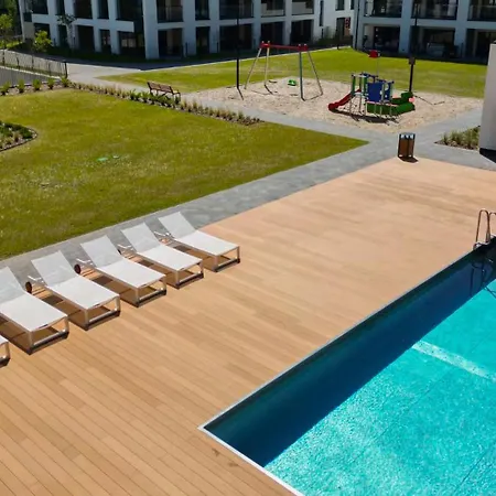 Sunny Rest In Seashell By Stayfirst *